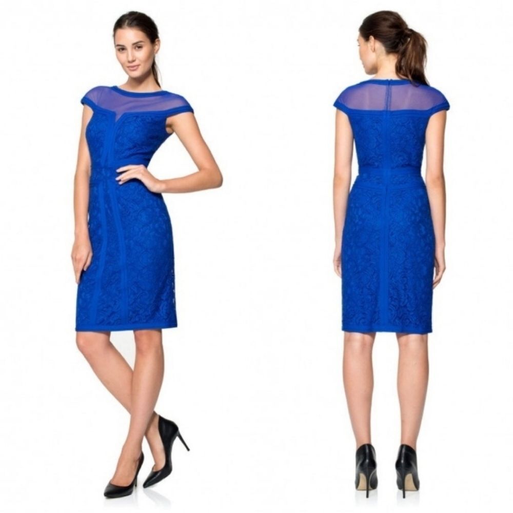 Tadashi Shoji Royal Blue Lace Bodycon Dress Sheer Mesh Size 10